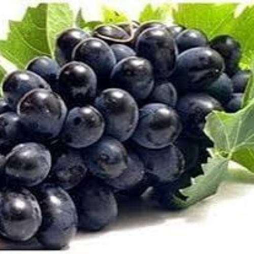 Black Grapes