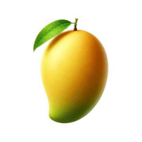 Mango Fruit