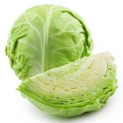 Cabbage