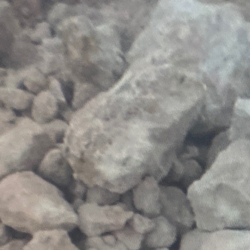 Gypsum