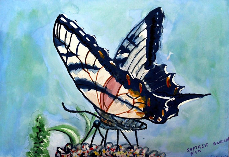 Titlee Hand Painting (Titlee-The Butterfly 2012 C 204) - Color: Multiple