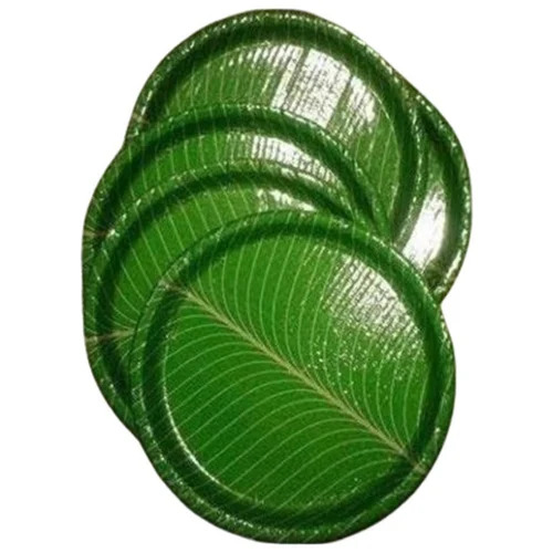 100 Gsm Kela Patta Paper Plate - Paper, 100 GSM, Green, Glossy Finish, Disposable, Heat Resistant
