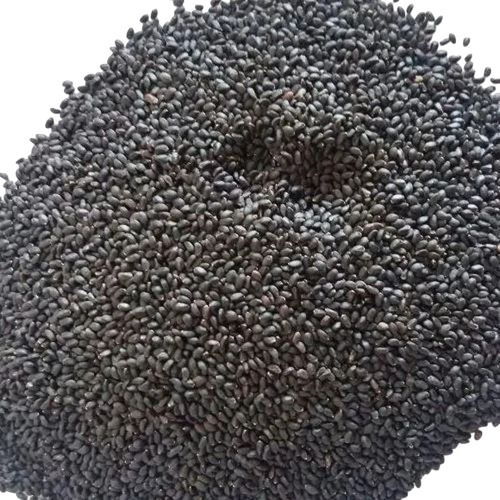 Black Basil Seeds