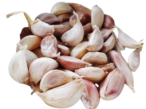 Organic Single Clove Garlic
