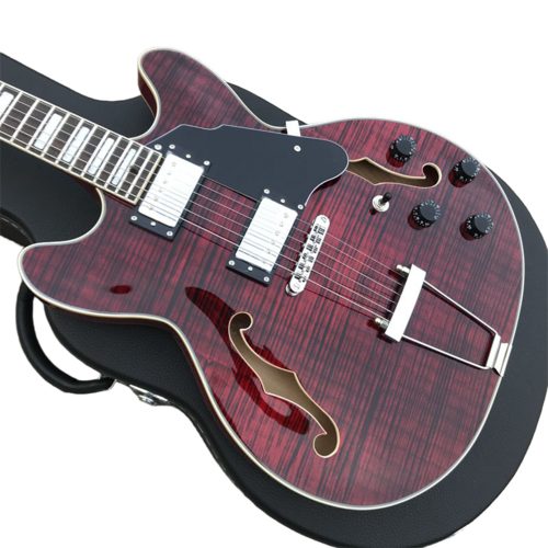 F Hole Electric Guitar - Plastic Body, Rosewood Fingerboard, Dark Brown | Hollow Body F-Hole, Warm Resonant Tone, Dual Pickups, Vintage Style