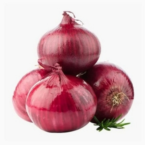 Fresh Onion