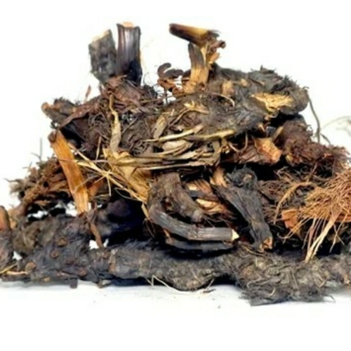 Organic Nagarmotha Root