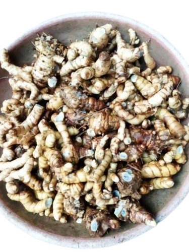 Black Turmeric Finger