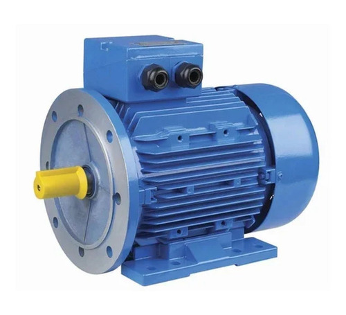 Flange Mounted Electric Motors