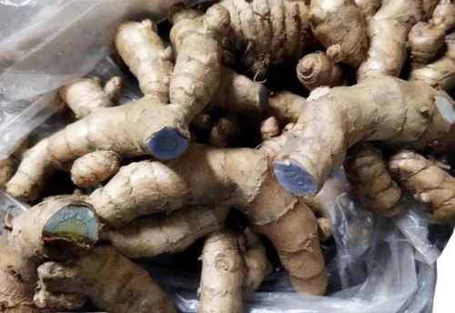 Fresh Black Turmeric Finger