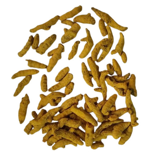 Fully Polished Yellow Turmeric Finger - Yellow, Loose Packaging | Food Grade, Raw, 12 Months Shelf Life, Cooking Use