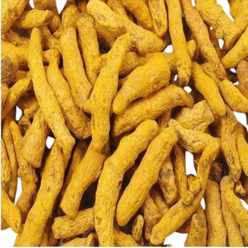 Polished Yellow Turmeric Finger
