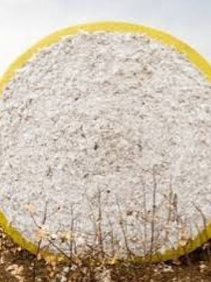 Raw Cotton Bale - Color: White