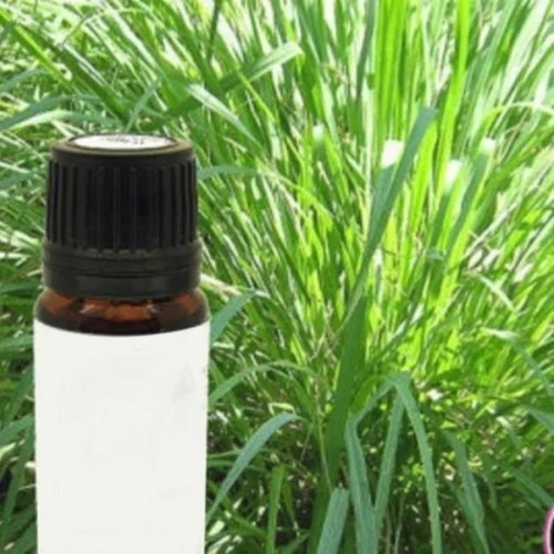 Ginger Grass Essential Oil - Loose Liquid 100% Pure | Aromatherapy Massage Oil Skincare Adult Use Dry Storage