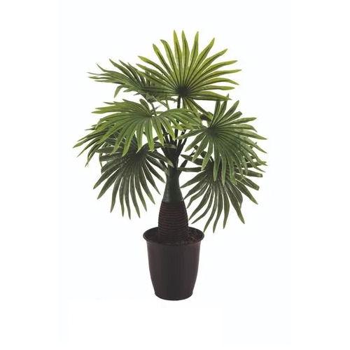 1.5 Feet Decorative Artificial Plant