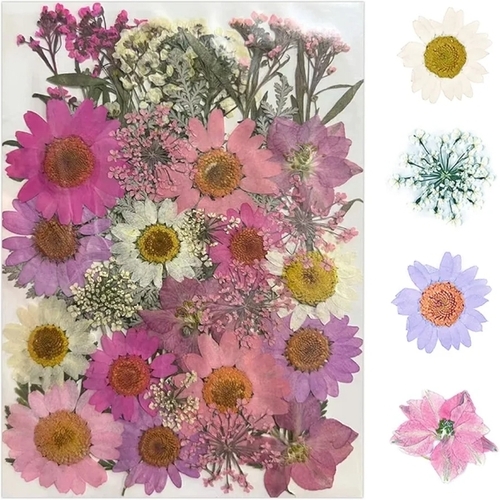 Premium Quality Dried Flower