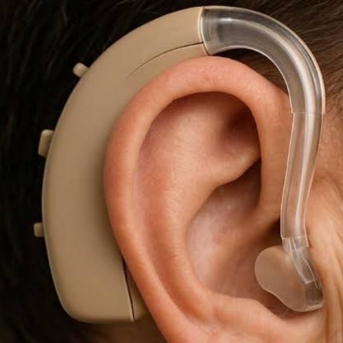 Brown Bte Hearing Aids