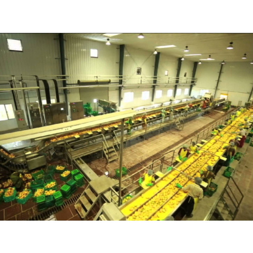 Food Processing Plants - Capacity: 1 T/Hr