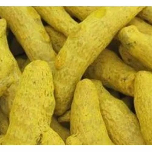 Salem Turmeric Finger - Whole Raw Turmeric, Yellow Color | Natural Flavor, 20 Kg, 2 Years Shelf Life