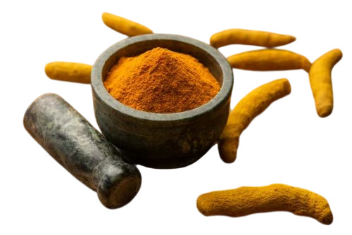 Salem Turmeric Powder - Natural Yellow, 50 Kg, Raw Powder | 100% Pure, Natural Flavor, A Grade
