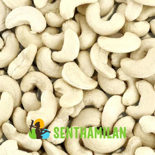 W180 Plain Cashew Nuts