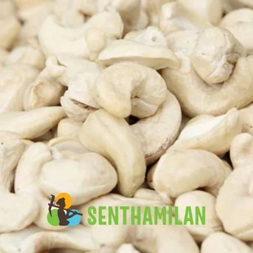 W210 Plain Cashew Nuts