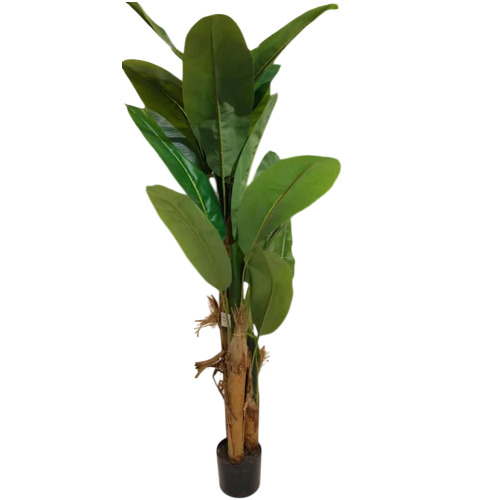 Artificial Green Plant - Feature: Easy To Clean