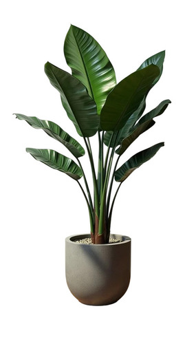 Artificial Plants - Plastic, Green, Free Standing With Pot | Durable, Easy To Clean, Washable