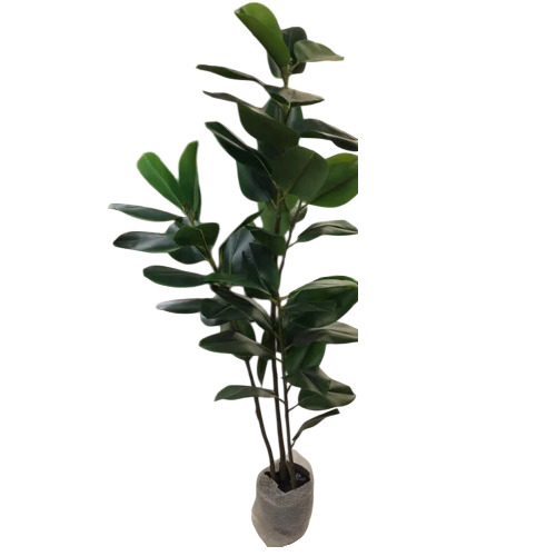 Imported Artificial Green Plant - Feature: Washable