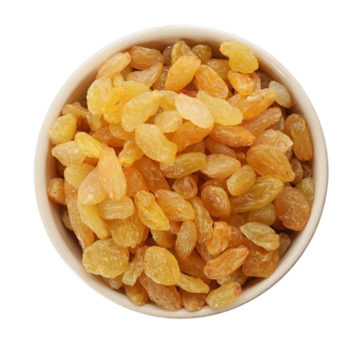 Indian Yellow Raisin