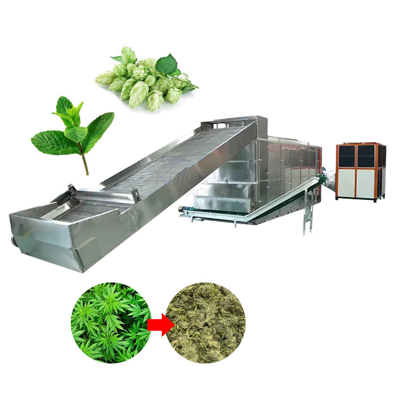 Industrial Mesh Belt Type Poppy Flowers Mint Leaves Sugarcane Leaf Moringa Leaves Dryer - Color: Customized