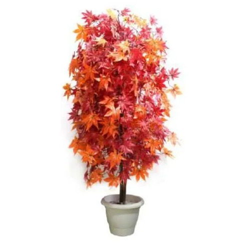 Orange Artificial Plant - Feature: Washable