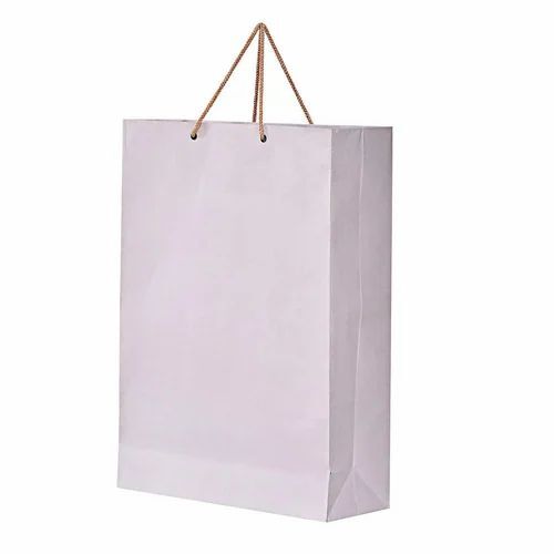Paper Plain Carry Bag - Kraft Paper, 7x10 Inches, White, Handled, Open Closure | Biodegradable, Moisture Proof, Recyclable