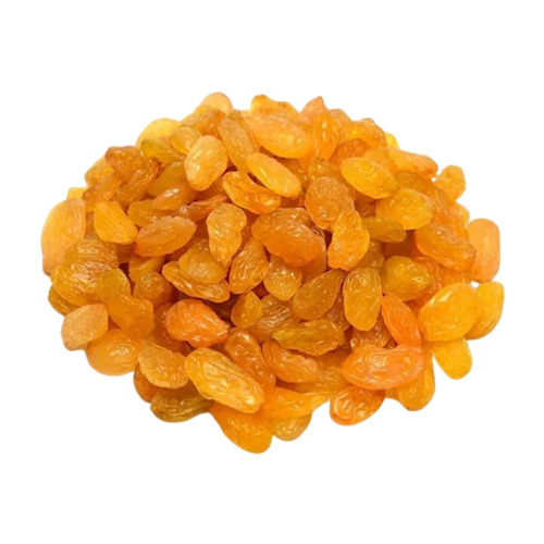 Yellow Raisin