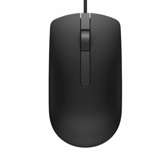 Computer Mouse