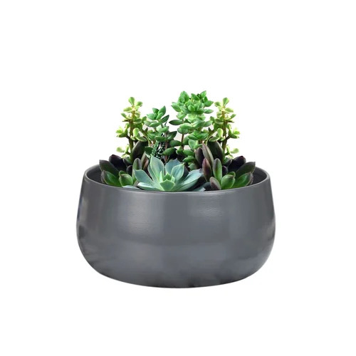 Gray Orchid Flower Pots - Iron Metal