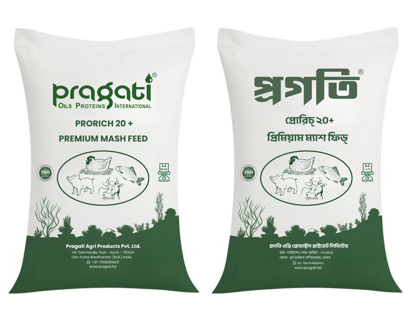 Pragati Prorich 20+ Premium Mash Feed - Application: Water