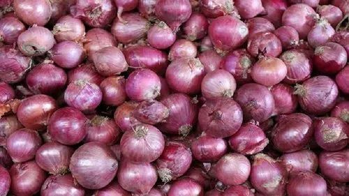 A Grade Red Onion