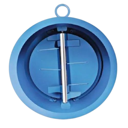 Ci Dual Plate Check Valve