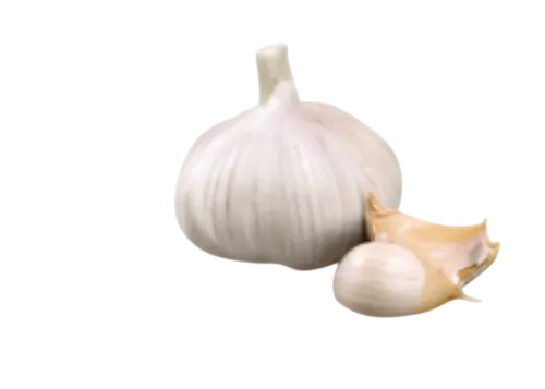Fresh Garlic
