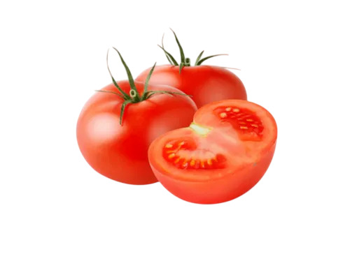 Fresh Tomato