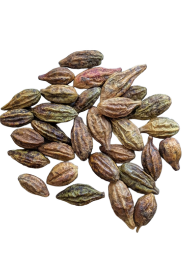 Hirda Haritaki Terminalia Chebula - Age Group: Suitable For All