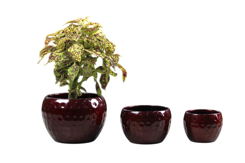 Metal Pot Set Of 3 - Iron, 3-5 Inch Height, Chestnut Brown, Polished Finish | Round Floor Mounted Planters