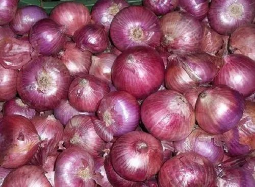 Red Onion