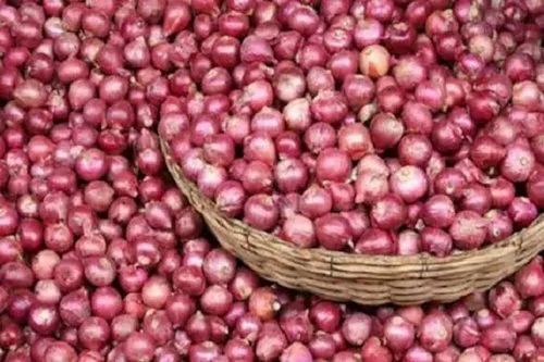 Small Red Onion