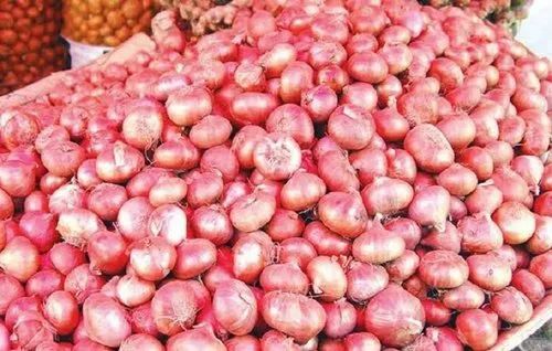 Sweet Onion - 50 kg, Raw Round | Common Cultivation, Store in Cool & Dry Places, 1 Month Shelf Life