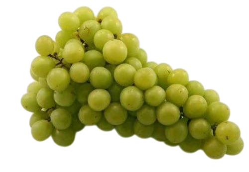 Sonaka Seedless Grapes
