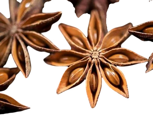 Star Anise