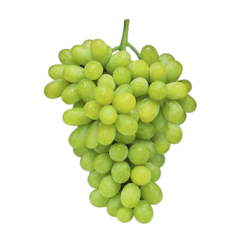 Thompson Seedless Grapes