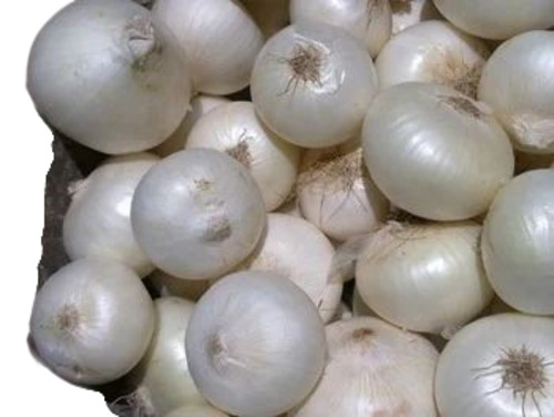 White Onion